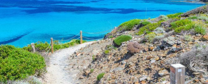 Menorca, the ‘calm island’ making waves in the world of sport.